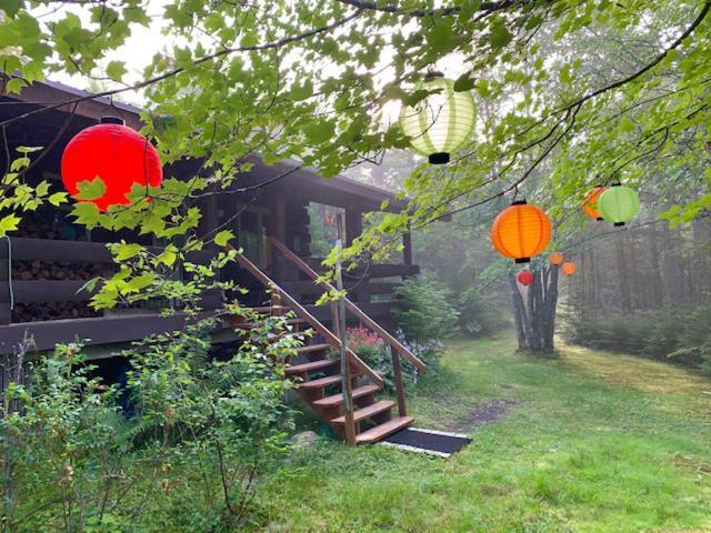 Lodge Vipilodge