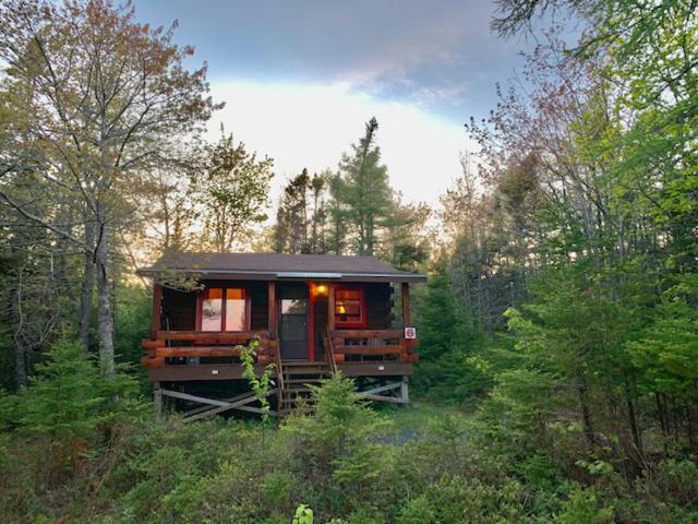 Lodge Vipilodge