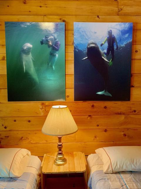 Vipilodge Lodge Janvrin Harbour