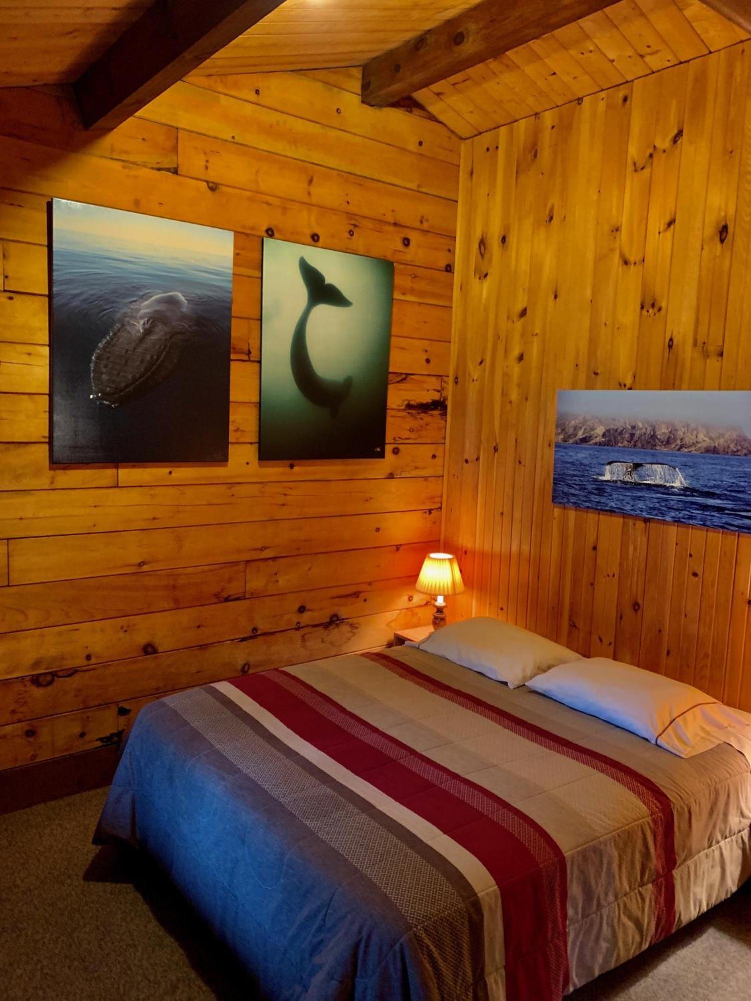 Vipilodge Janvrin Harbour